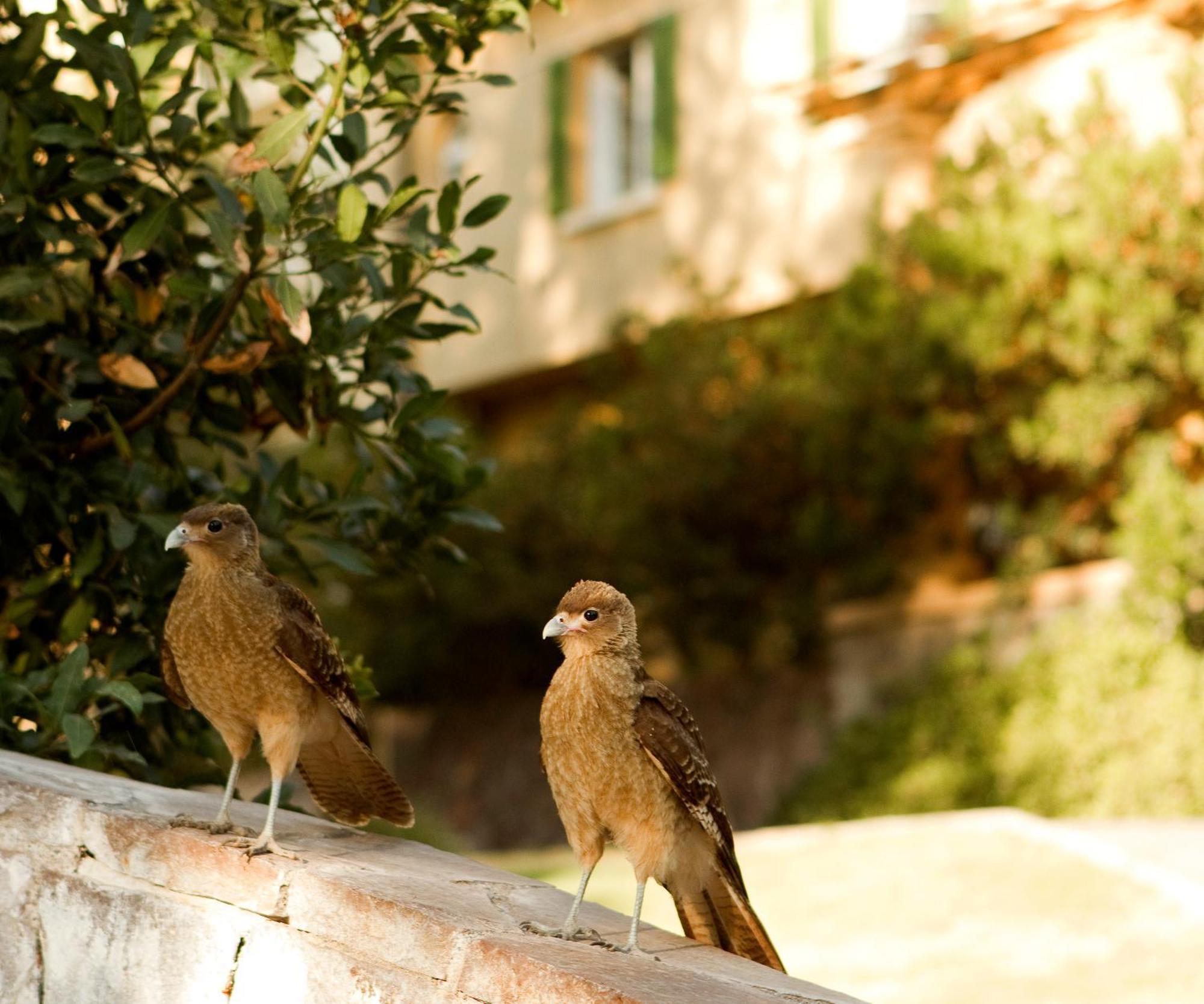 Termas De Jahuel Hotel & Spa Santa María Εξωτερικό φωτογραφία